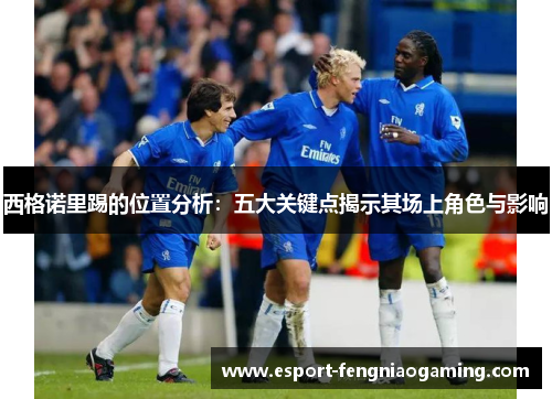 西格诺里踢的位置分析：五大关键点揭示其场上角色与影响