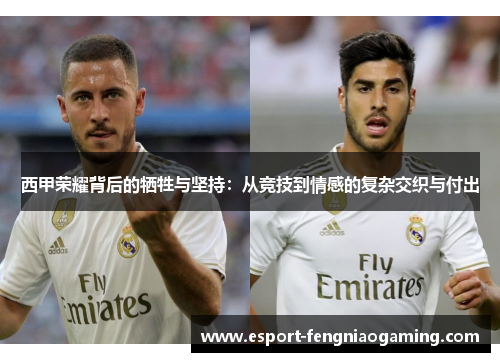 西甲荣耀背后的牺牲与坚持：从竞技到情感的复杂交织与付出