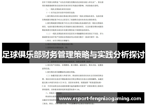 足球俱乐部财务管理策略与实践分析探讨