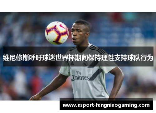 维尼修斯呼吁球迷世界杯期间保持理性支持球队行为