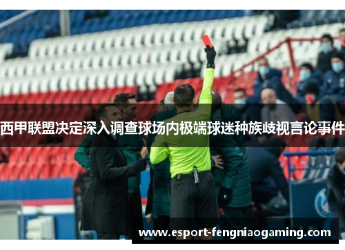 西甲联盟决定深入调查球场内极端球迷种族歧视言论事件
