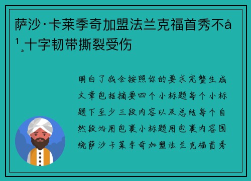 萨沙·卡莱季奇加盟法兰克福首秀不幸十字韧带撕裂受伤
