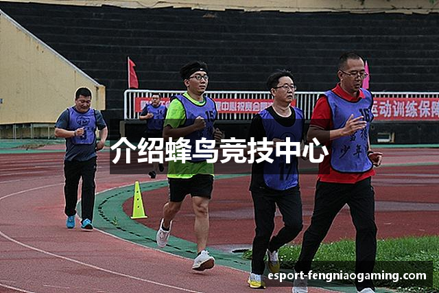 介绍蜂鸟竞技中心